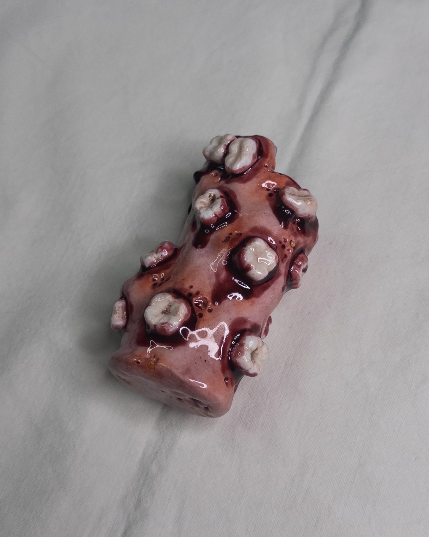 "teeth care" lighter case
