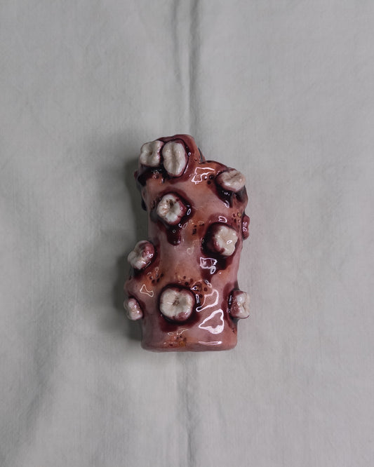 "teeth care" lighter case