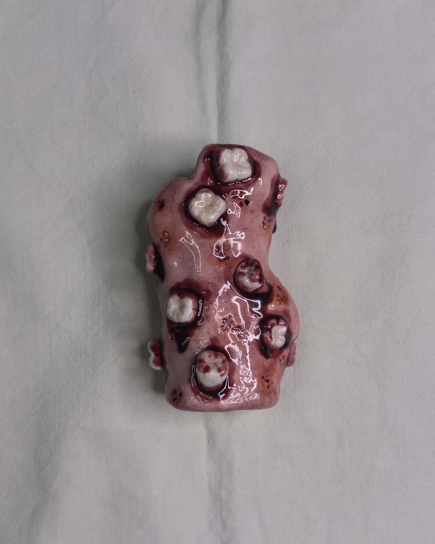 "teeth care" lighter case